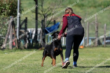 IMG_4298.jpg