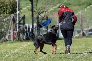 IMG_4305.jpg
