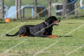 IMG_4313.jpg