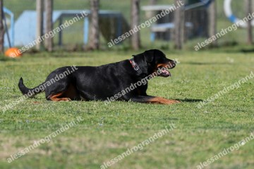 IMG_4327.jpg