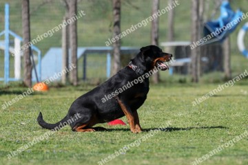 IMG_4333.jpg