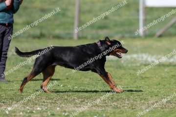 IMG_4378.jpg