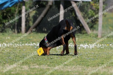 IMG_4466.jpg