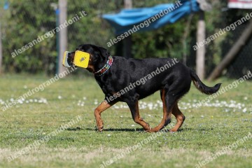 IMG_4473.jpg