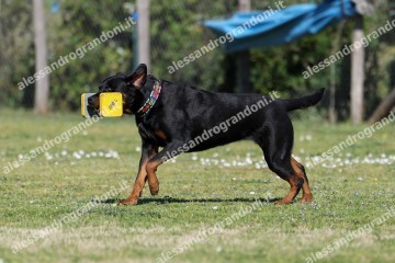 IMG_4476.jpg