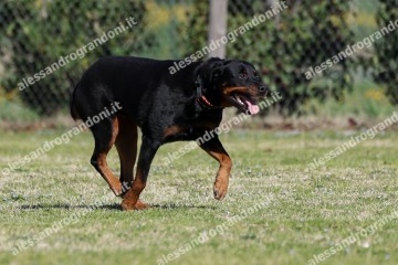IMG_4534.jpg