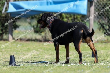 IMG_4562.jpg