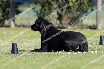 IMG_4570.jpg