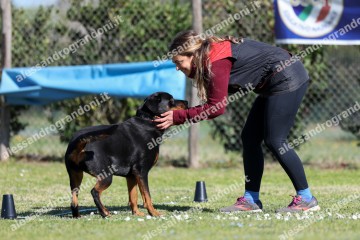 IMG_4601.jpg