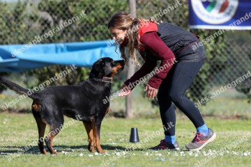 IMG_4607.jpg