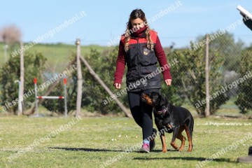 IMG_4621.jpg