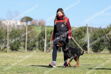 IMG_4632.jpg