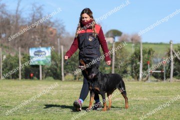 IMG_4642.jpg