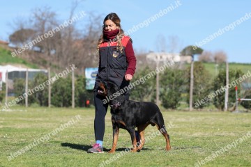 IMG_4647.jpg