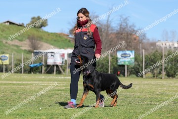 IMG_4657.jpg