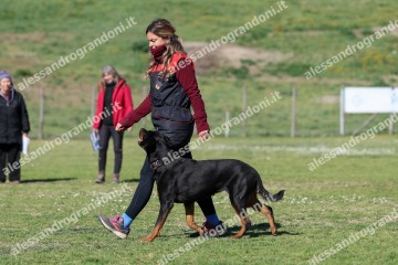 IMG_4670.jpg