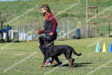 IMG_4684.jpg