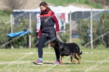 IMG_4716.jpg