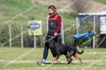 IMG_4723.jpg
