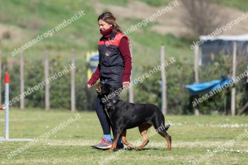IMG_4728.jpg