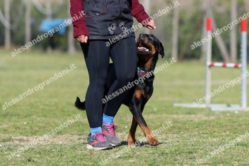 IMG_4750.jpg