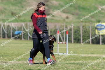IMG_4754.jpg