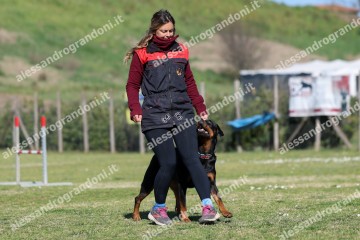 IMG_4779.jpg