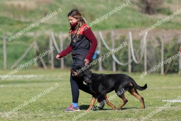 IMG_4794.jpg