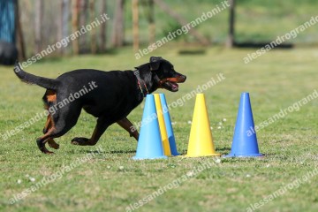IMG_4838.jpg