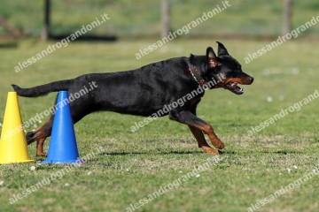 IMG_4850.jpg