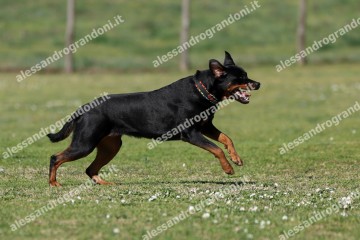 IMG_4854.jpg