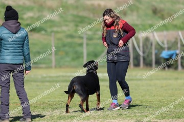 IMG_4886.jpg