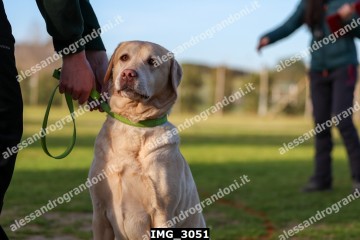 IMG_3051.jpg