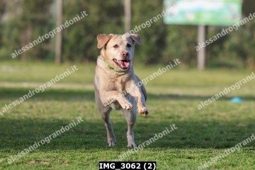 IMG_3062 (2).jpg