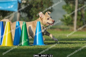 IMG_3067 (2).jpg
