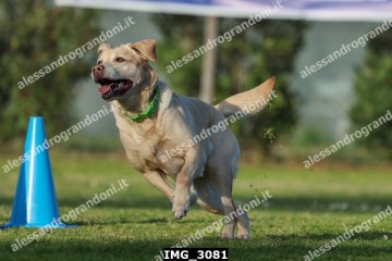 IMG_3081.jpg