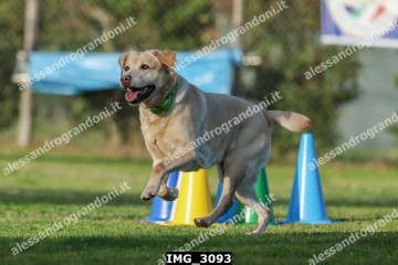 IMG_3093.jpg