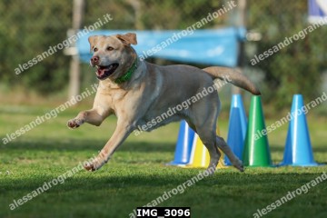IMG_3096.jpg