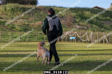 IMG_3118 (2).jpg