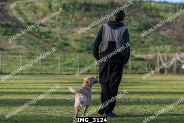 IMG_3124.jpg