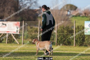 IMG_3129.jpg