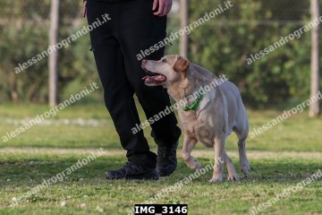 IMG_3146.jpg