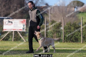 IMG_3153 (2).jpg
