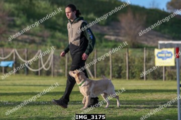 IMG_3175.jpg