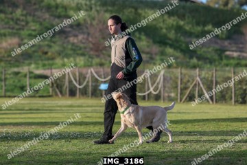 IMG_3186.jpg