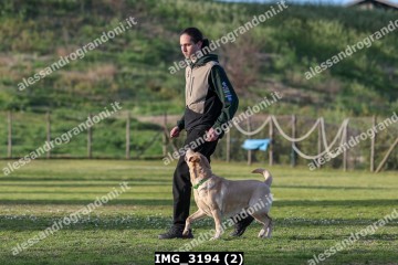 IMG_3194 (2).jpg
