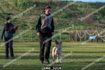 IMG_3219.jpg