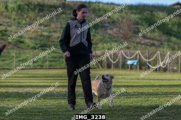 IMG_3238.jpg