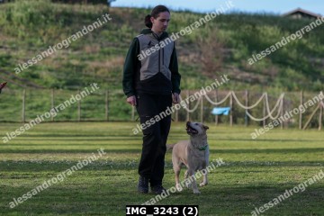 IMG_3243 (2).jpg