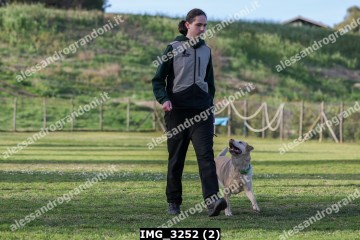 IMG_3252 (2).jpg